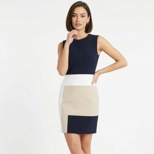 Retro REED Color Block Scuba Dress EUC